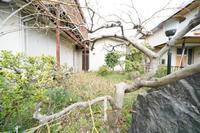 その他:現況写真