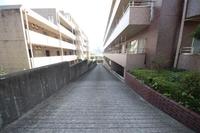 その他:外観