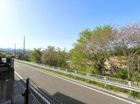 その他:前面道路含む現地写真
