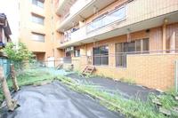 その他:日当たりの良いお庭はガーデニングや家庭菜園に最適です。
緑が多く落ち着いた環境です。