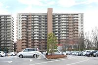 その他:外観