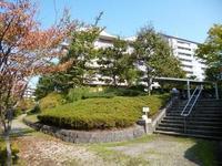 長池公園せせらぎ通り北