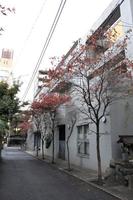 浴室:当物件の近隣には、コンビニ・ドラッグストア・スーパーがあるため
充実した住生活を過ごすことが可能！
