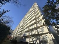 その他:豊かな植栽に囲まれた敷地は開放感にあふれ、四季の移ろいを身近に感じられます！陽光が降り注ぐ明るい住まいで、家族の新しい物語がここから始まります！