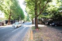 その他:前面道路