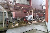 リビング:駐輪場